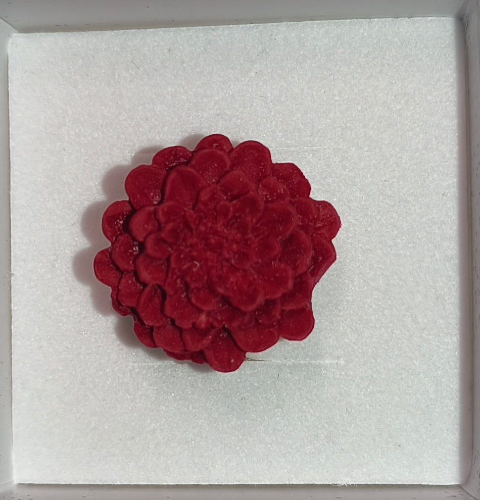 Anillo Dalias