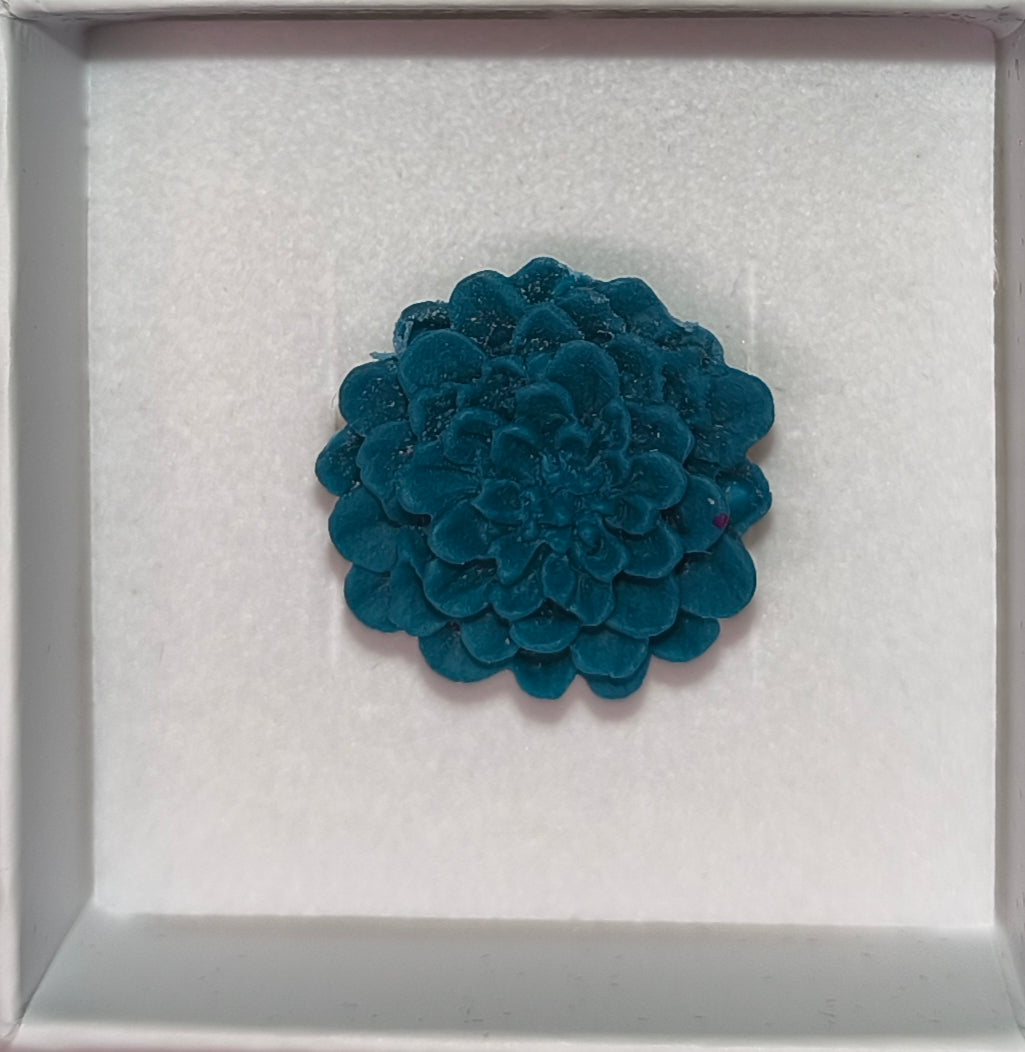 Anillo Dalias