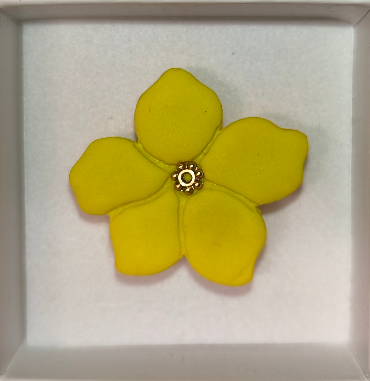 Anillo Úrsula