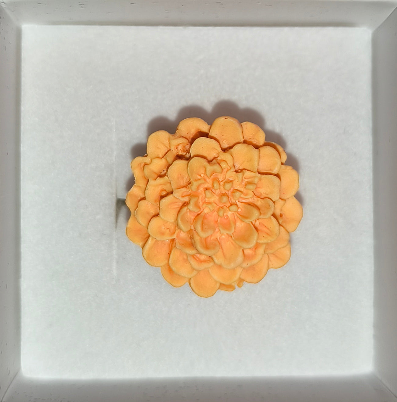 Anillo Dalias