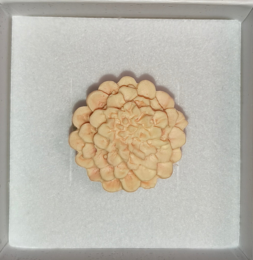 Anillo Dalias