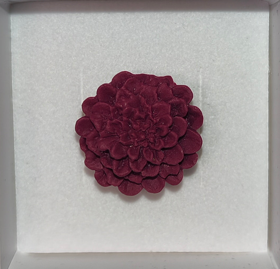 Anillo Dalias