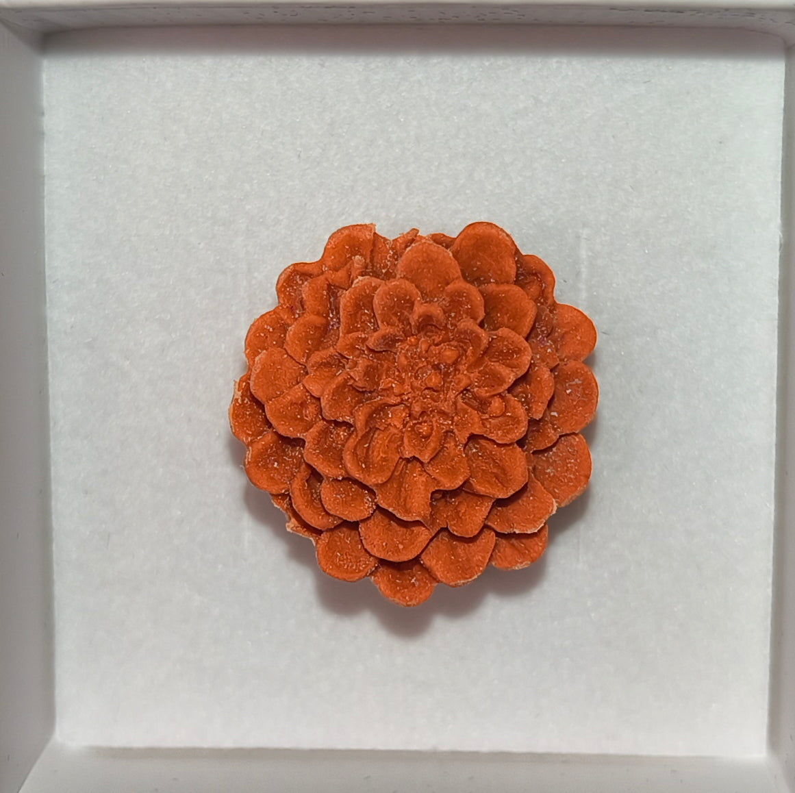 Anillo Dalias