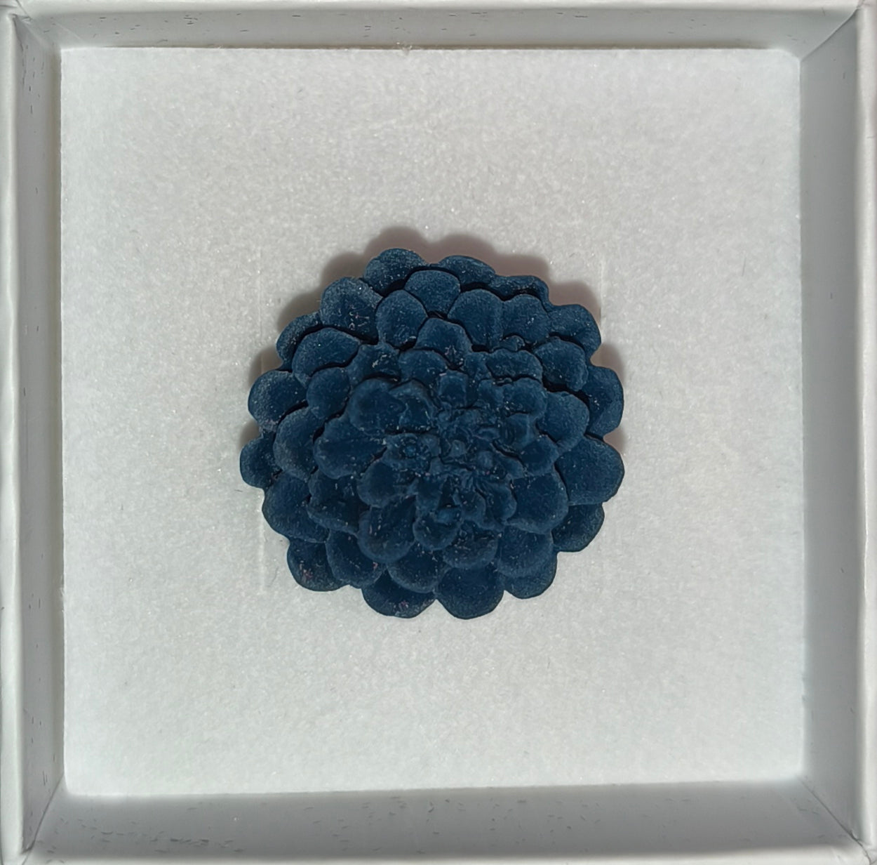 Anillo Dalias