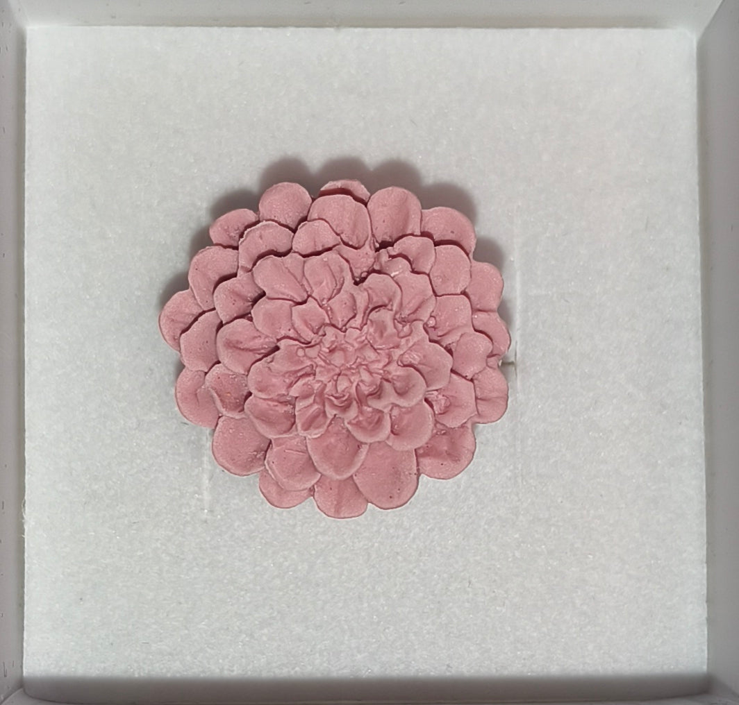 Anillo Dalias