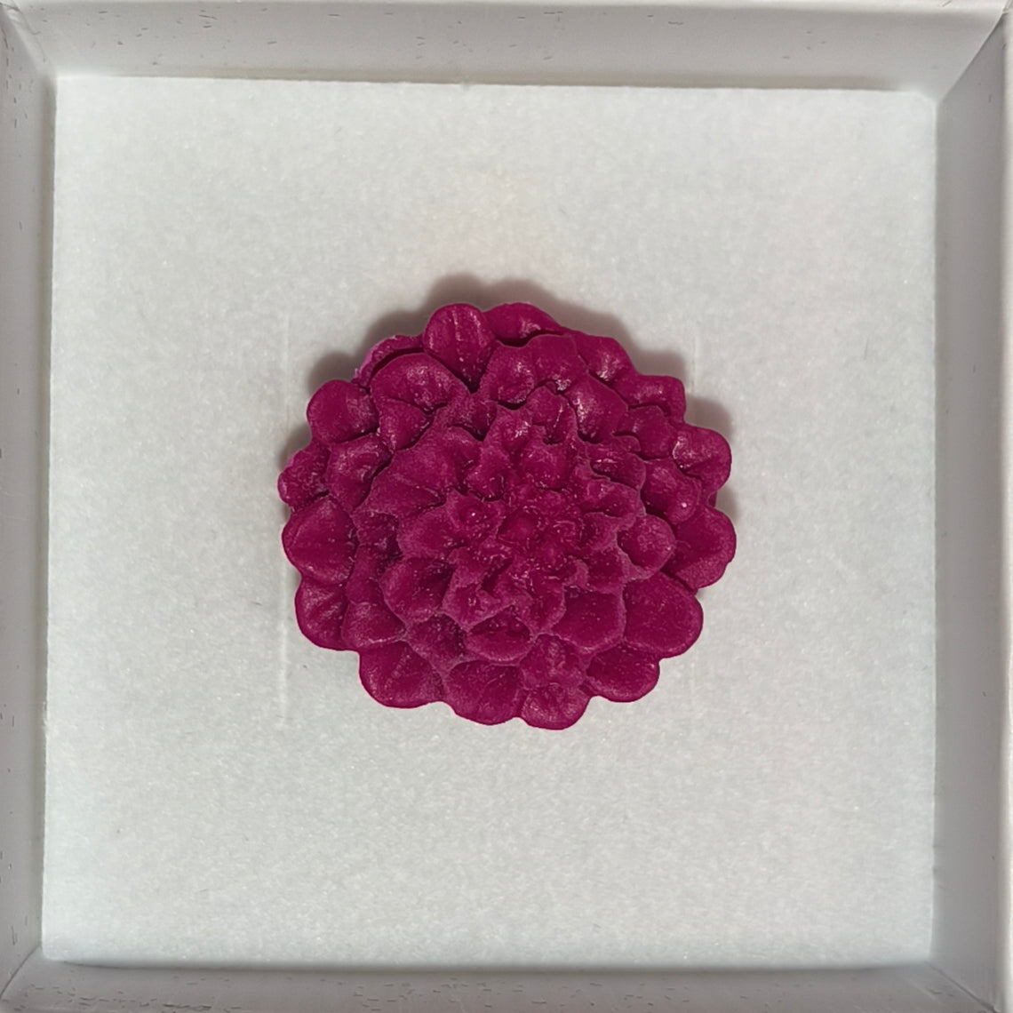 Anillo Dalias