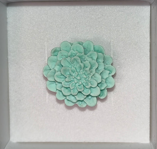 Anillo Dalias