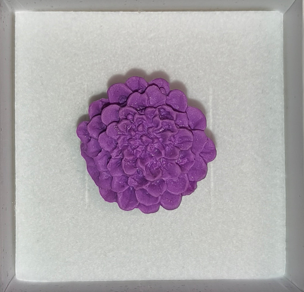 Anillo Dalias